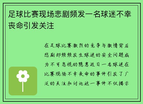 足球比赛现场悲剧频发一名球迷不幸丧命引发关注